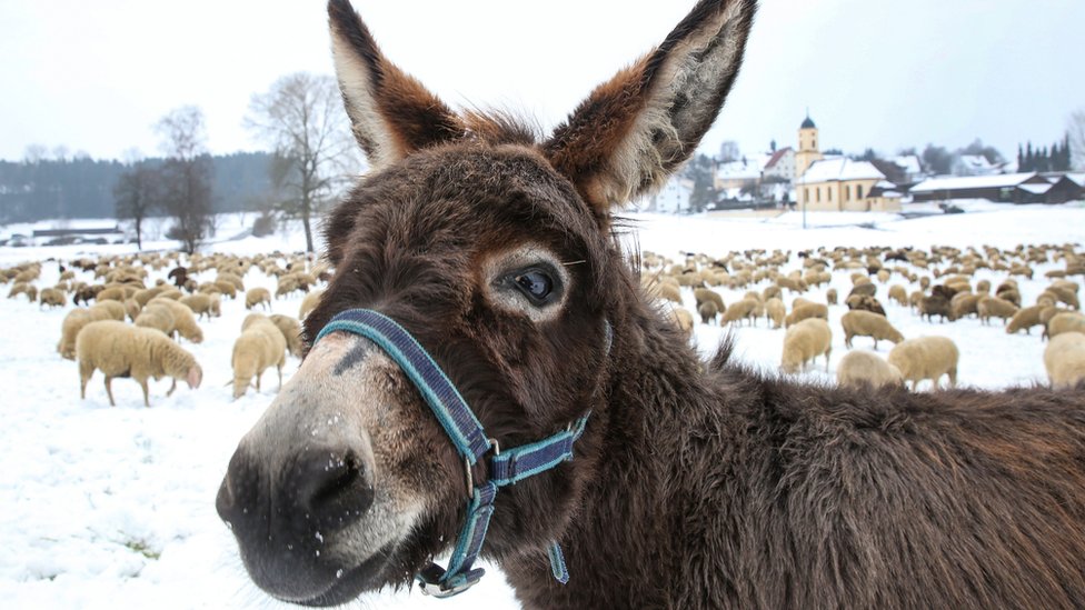 Ұйқыдағы дос гей порно