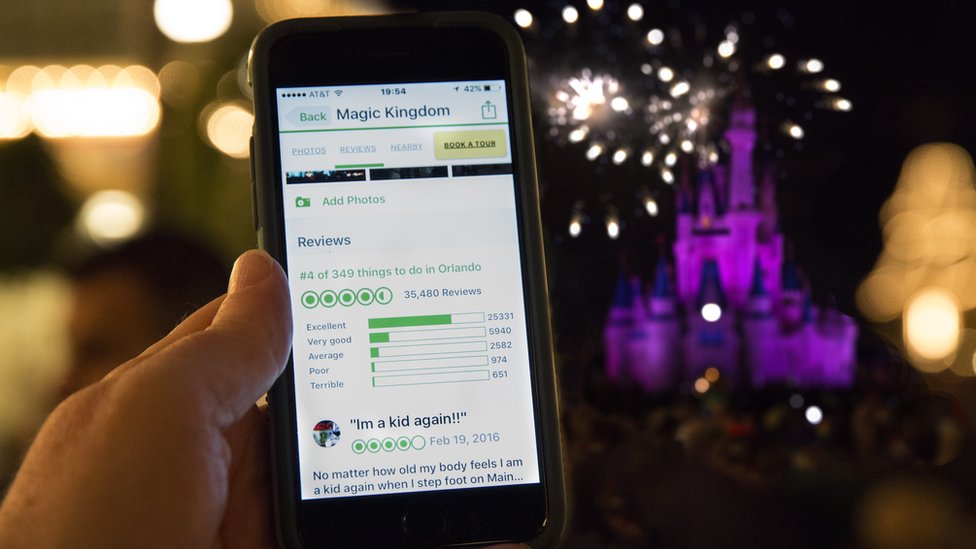 Tripadvisor review of Disney's magic Kingdom on mobile phone