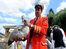 Swan census 'expects number to rise'