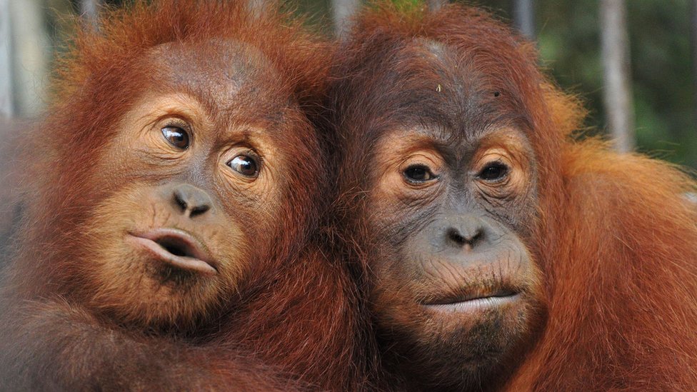 Balzak yoshidagi yalangoch rus ayollari