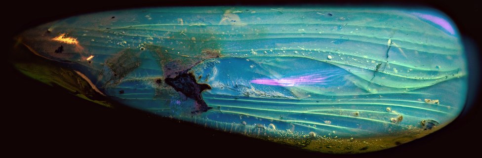 激レア！！羽毛入りビルマ琥珀 琥珀コレクター必見！驚愕の逸品、およそ1億年前の生物の「羽毛」を