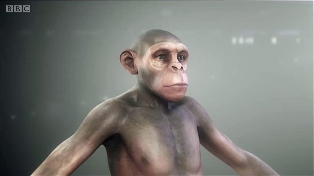 Транссексуалды секс фотосуреттері кончамен жабылған