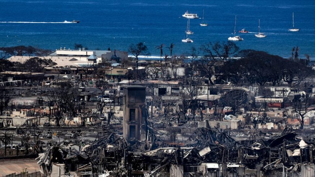 米ハワイ州マウイ島などの森林火災死者、少なくとも80人に 州の記録