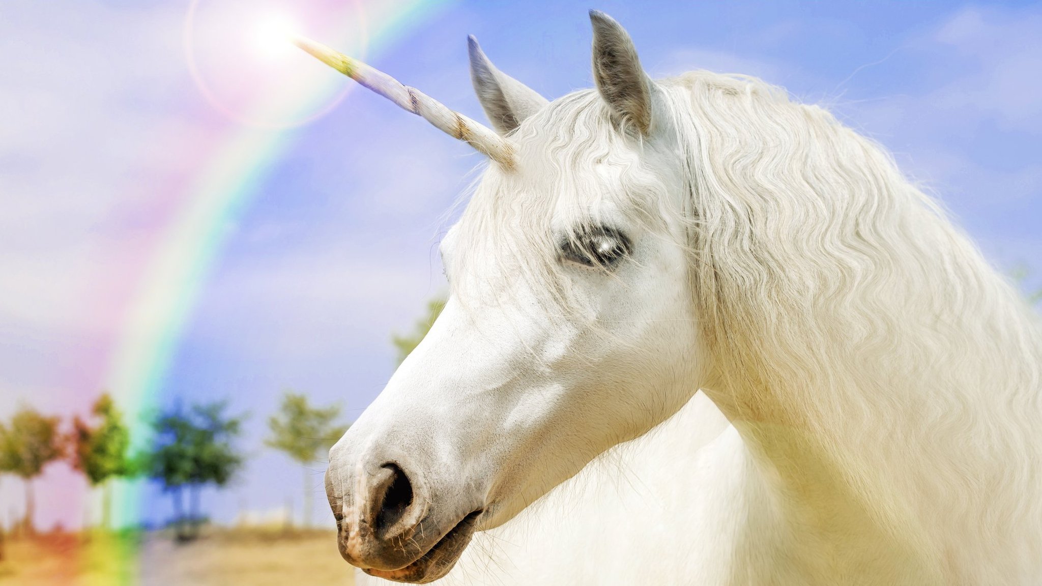 It s National Unicorn Day So What s The Deal CBBC Newsround