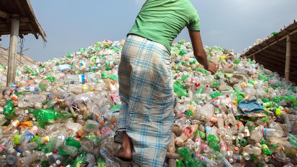 Muy lejos Expresamente Comienzo Cuánto costaría realmente dejar de usar envases de plástico - BBC News Mundo