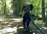 VIDEO: Google's robot takes a forest hike