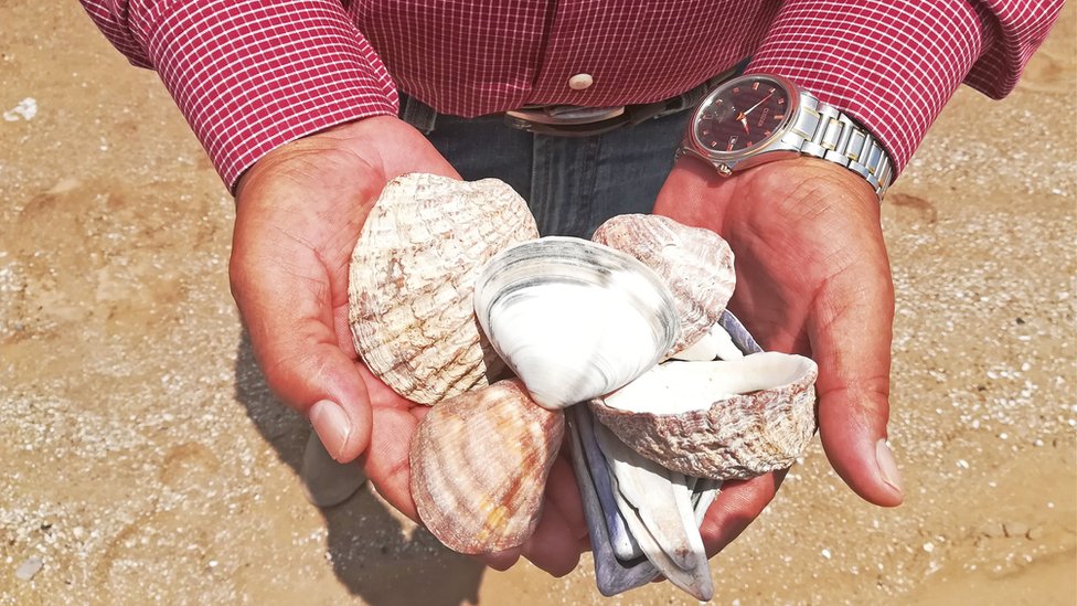 El cónsul enseñando las conchas que recogió en Bolivia Mar