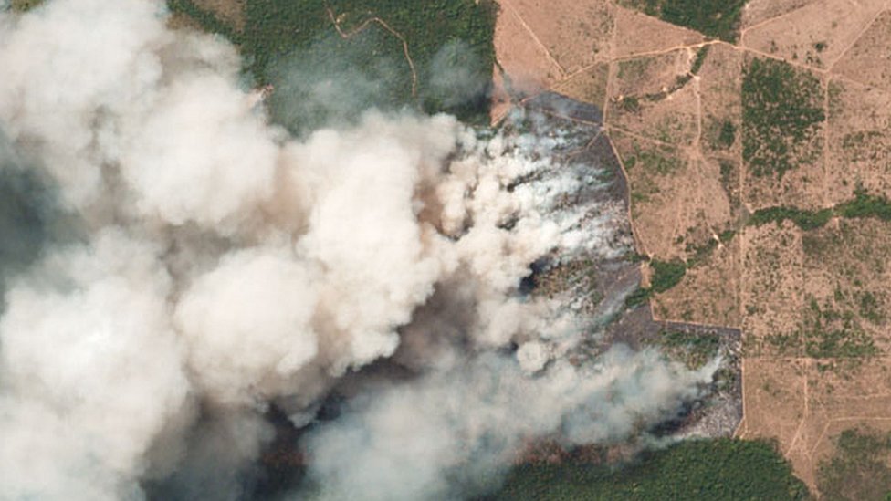 Yalangoch yigitlarning yashirin kamera fotosuratlari