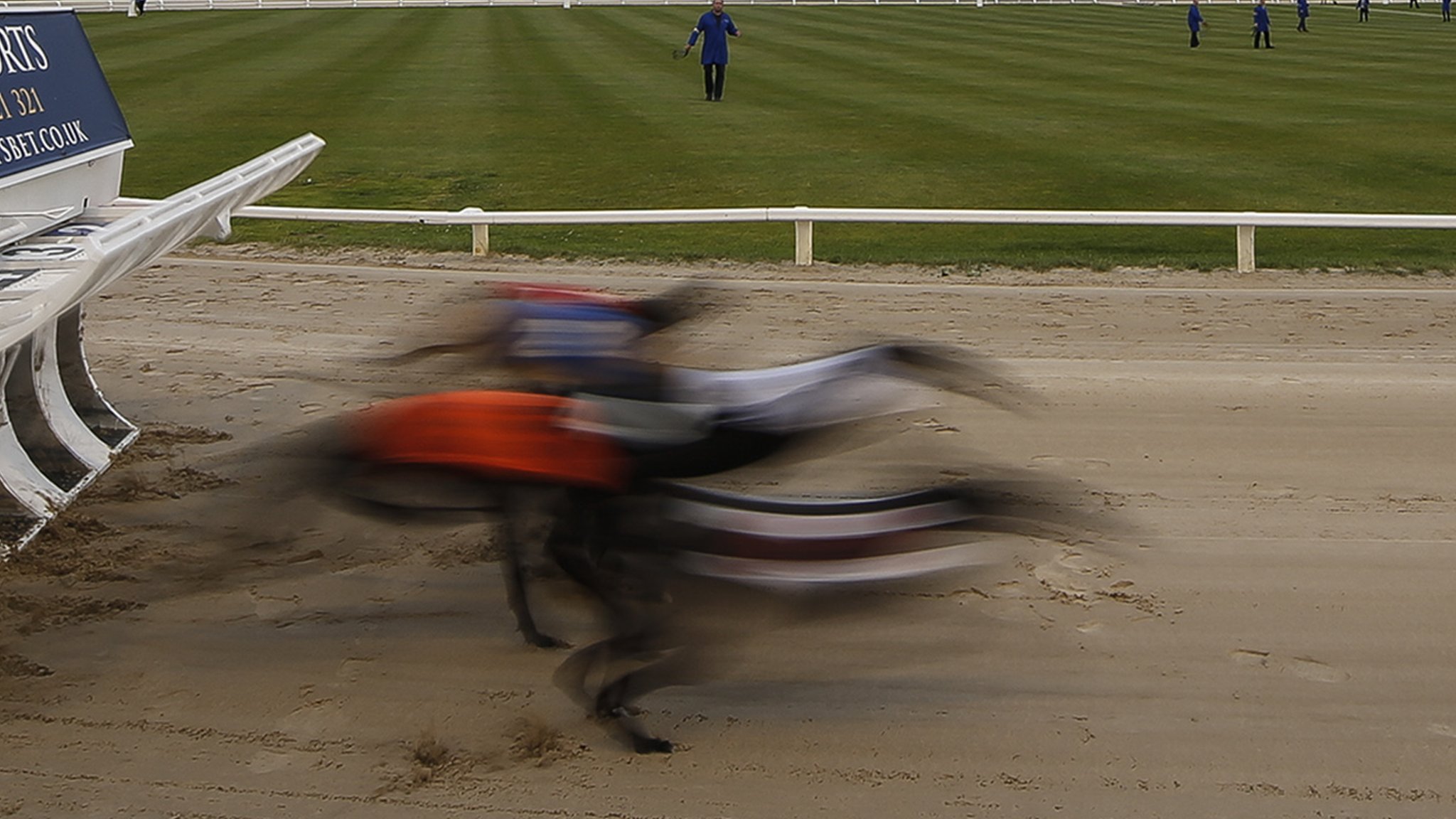 Irish champion greyhound tests positive for cocaine