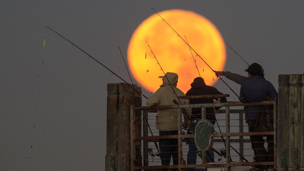Un grupo de pescadores bajo la luna en Redondo Beach, California.
