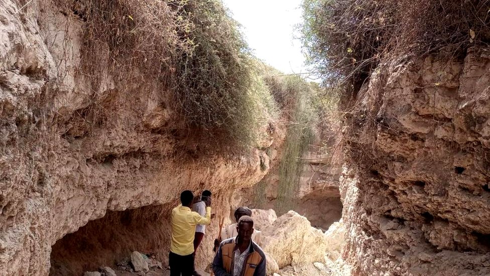 Forum: Xotinimni qanday sikishadi