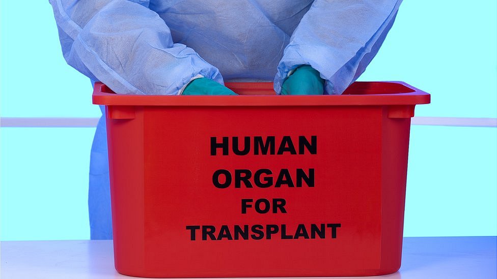 Caja para transportar órganos