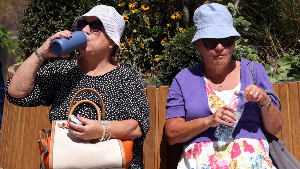 Look out for vulnerable in heatwave, public urged