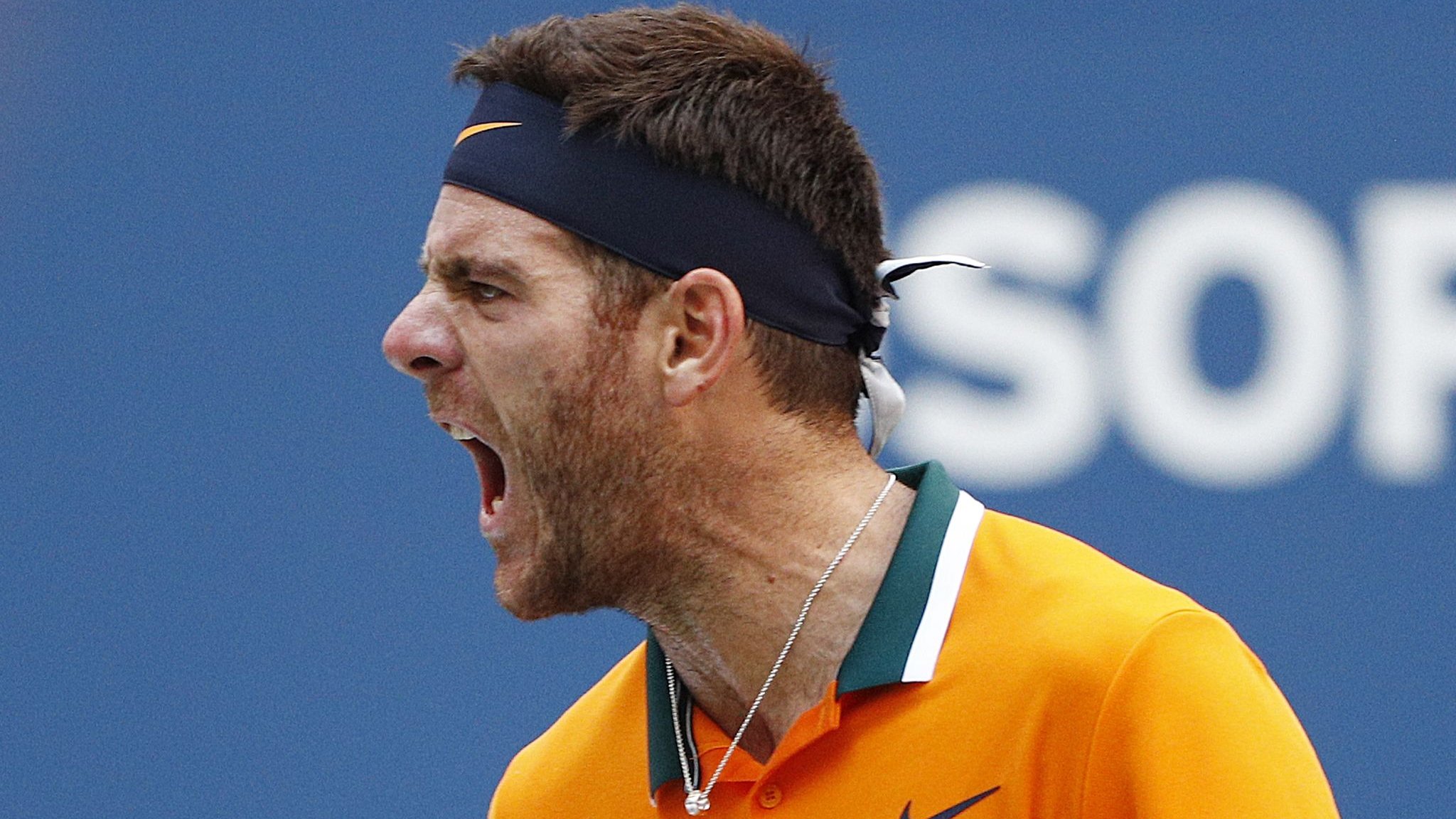 US Open 2018: Juan Martin del Potro overcomes John Isner to reach semi-finals
