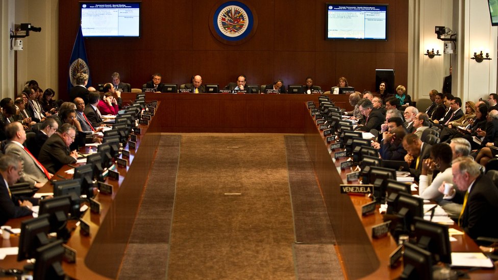 La resolución de la OEA sobre el orden democrático en Venezuela se aprobó unos días después de que iniciaron las protestas recientes en el país sudamericano. Pleno de la OEA