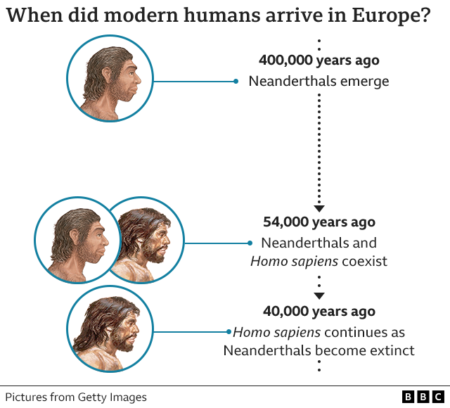 ネアンデルタール人の絶滅、皆殺しが原因ではなかった＝新研究 - BBCニュース