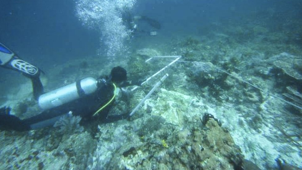 raja ampat