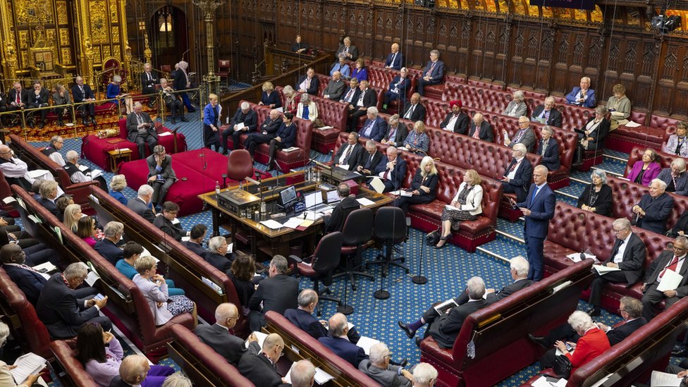 T*o様 輸入盤　HOUSE OF LORDS/Live In The U.K. 🕙 Line by line check of the #TerminallyIllAdultsBill continues in