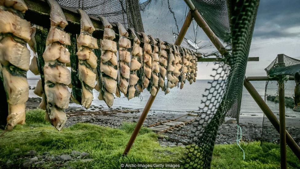 Kuliner Islandia yang berkisah tentang perjuangan bertahan hidup