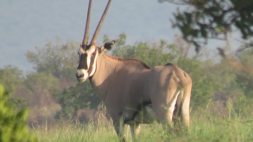 Oshxonada onalar bilan onlayn jinsiy aloqa