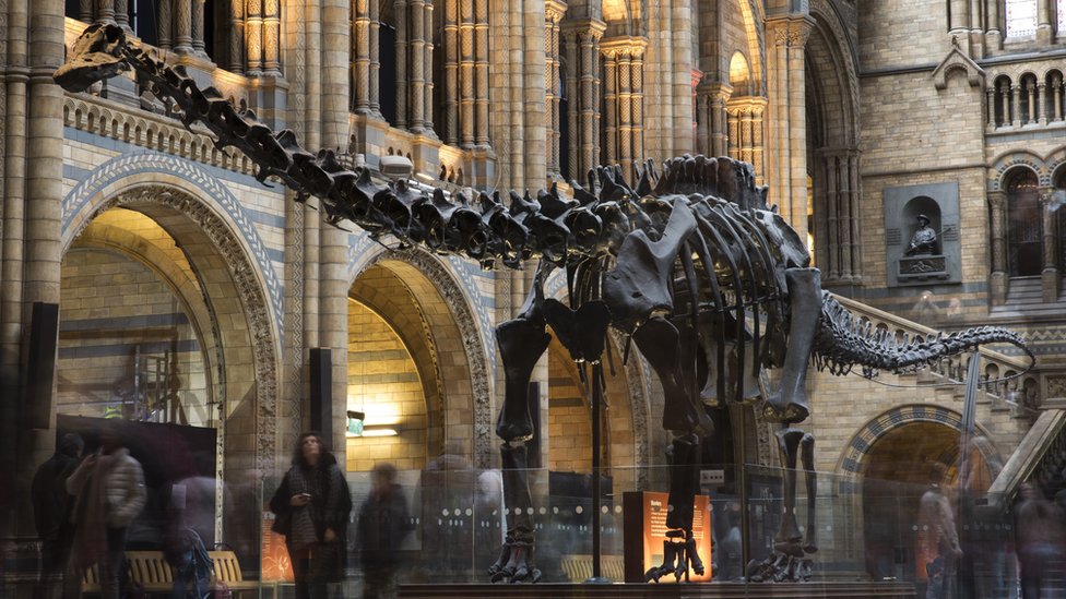Dippy The Dinosaur Is On Tour In Glasgow CBBC Newsround dippy-the-dinosaur-is-on-tour-in-glasgow-cbbc-newsround