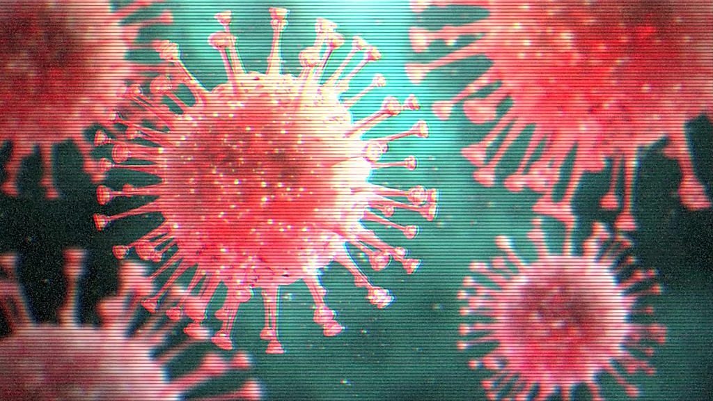 新型コロナウイルスで削除される動画が増える？ パンデミックが促すの変化：動画の世紀（1/2 ページ） - ITmedia NEWS