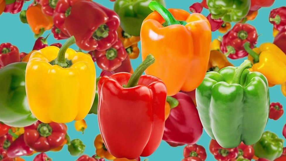 types of bell peppers