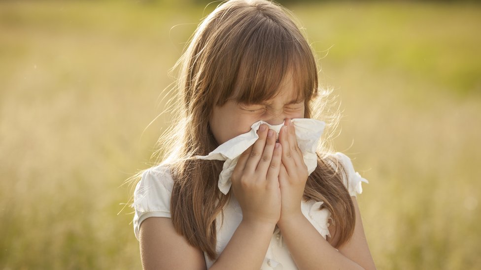 the-chemistry-of-hay-fever-how-do-hay-fever-medications-work