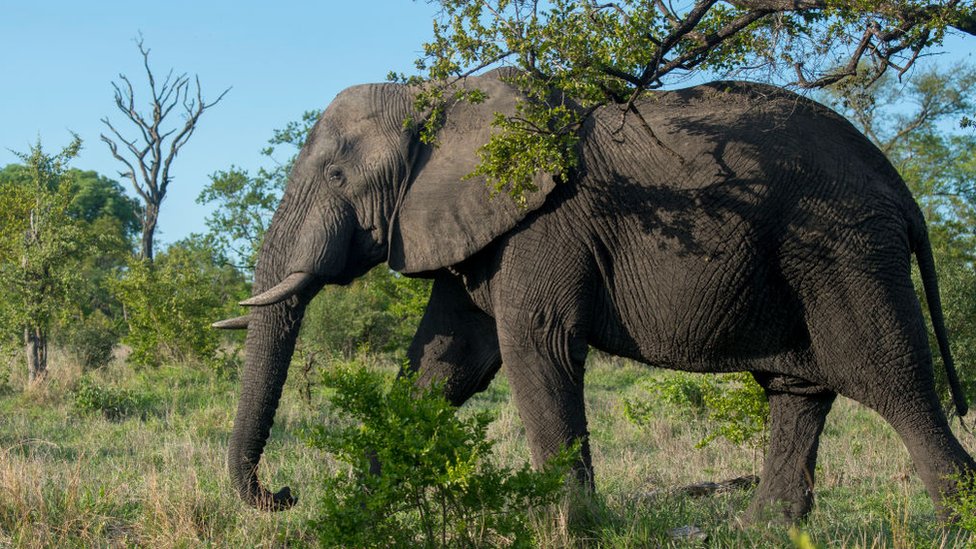 Jessica Drake porno filmini tomosha qiling