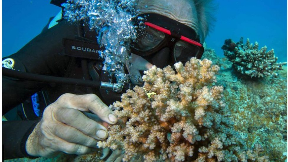 Yetuk kanizaklarning ruscha porno anal