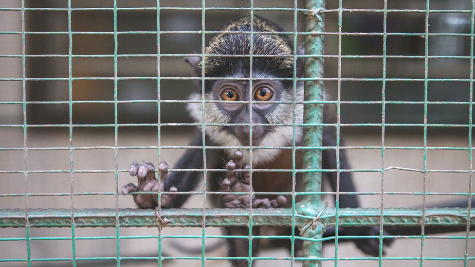 Yalangoch yangiliklar boshlovchilarining fotosuratlari Porno ogli oshxonada qarshilik qila olmadi