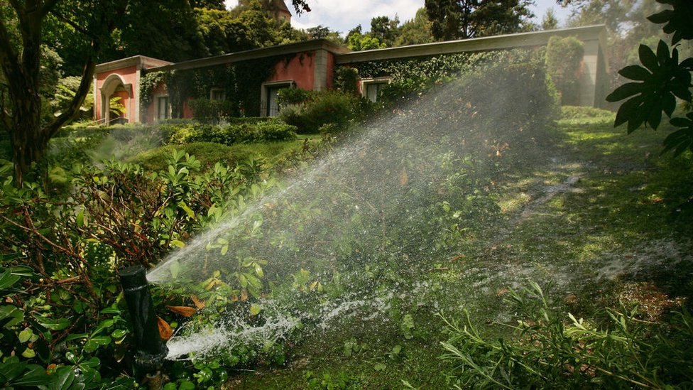 On patrol with California's celebrity 'water police'