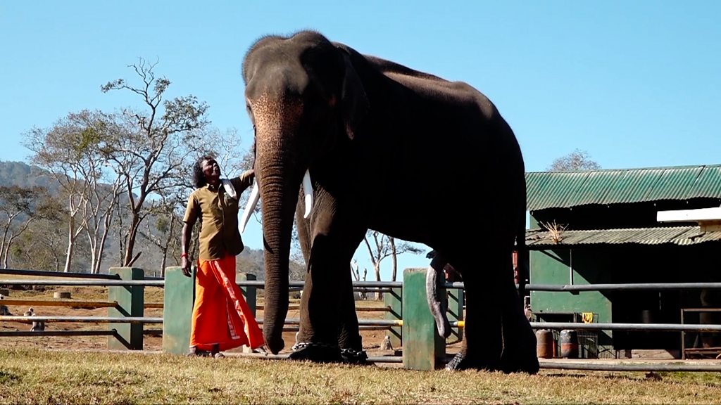 The Indian elephant documentary that won an Oscar