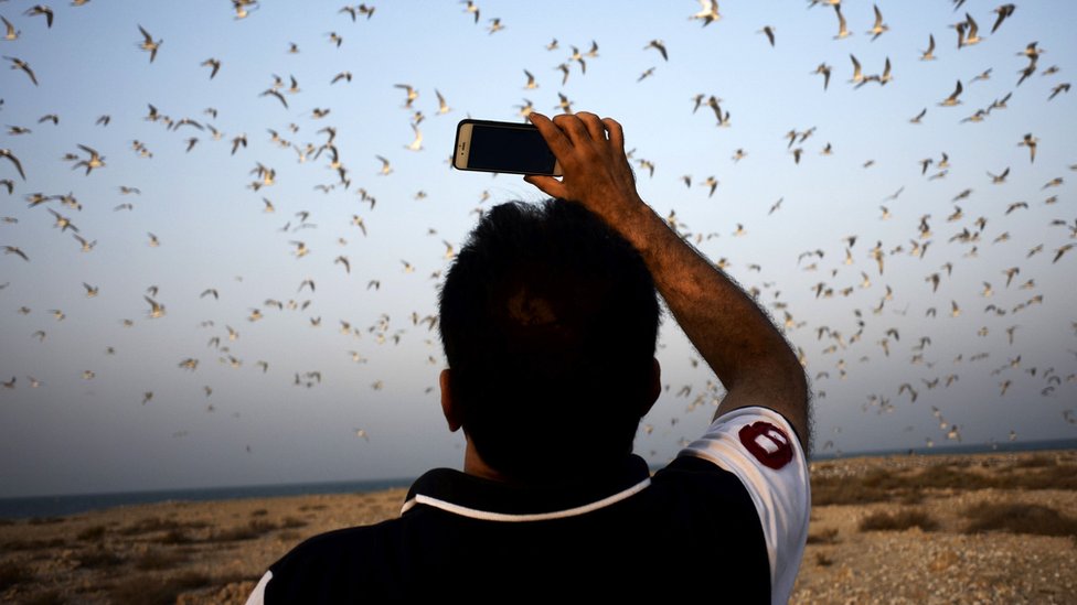 Bahrain 'internet curfew' for village, say activists