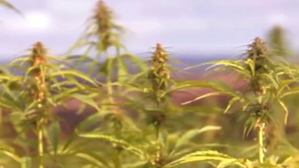 Kumertauda tun uchun jinsiy aloqa