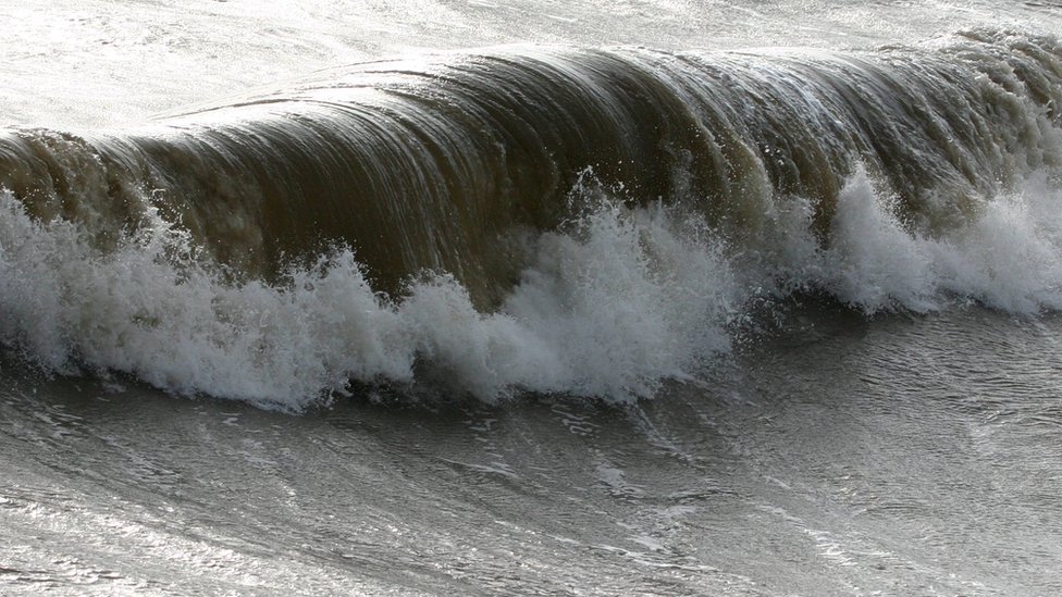 Passei 28 horas nadando em mar aberto para salvar minha vida' - BBC News  Brasil