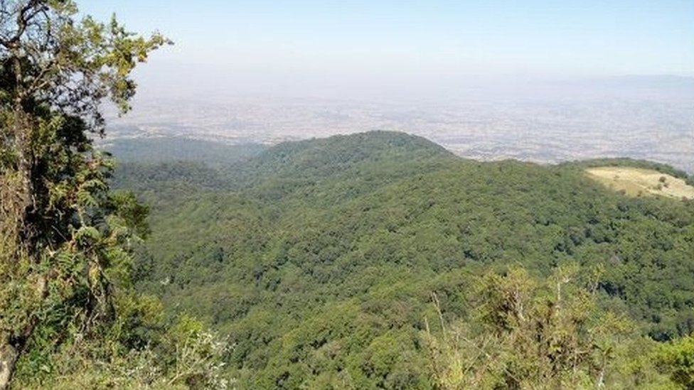 Yosh yigitning keksa odamni sorishi videosi