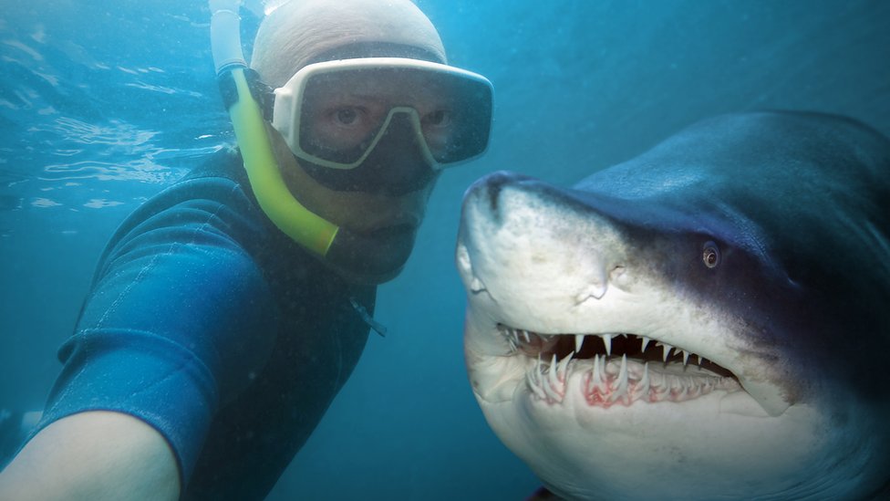 Selfie con un tiburón