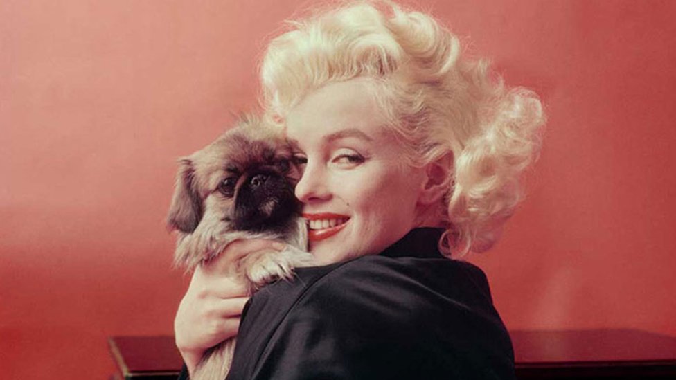 Morte de Marilyn Monroe, Magazine O Leme, Efemérides do dia 5 de agosto