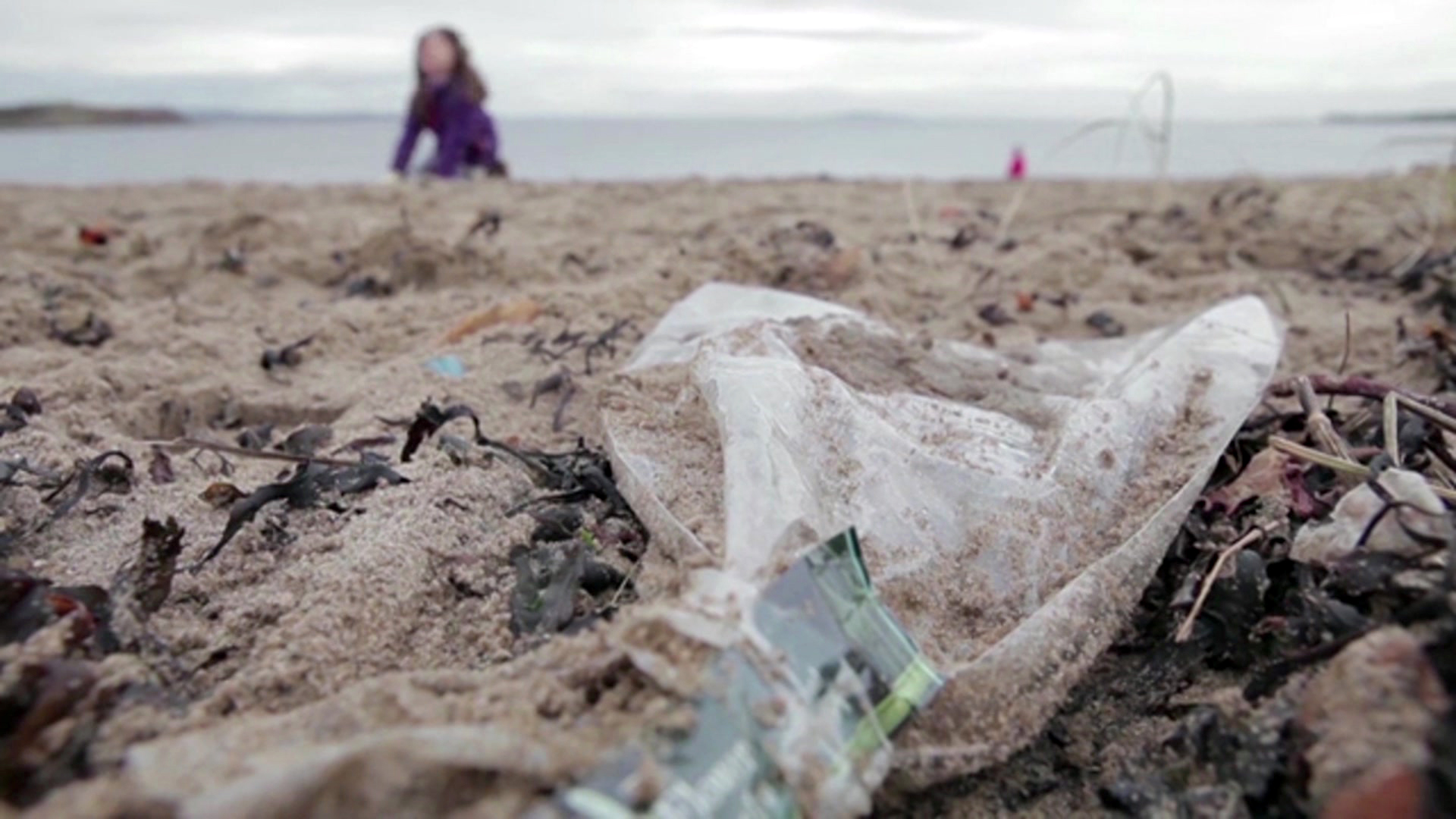 Why is plastic a problem? CBBC Newsround