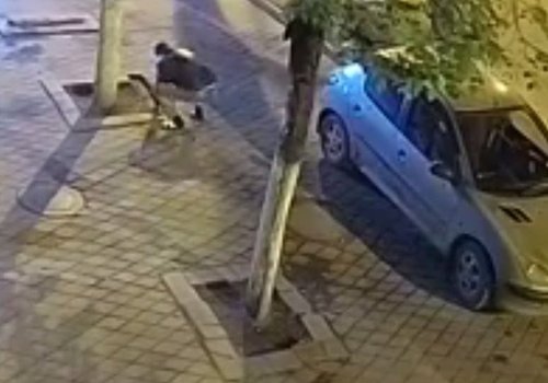 Man stealing paving stones