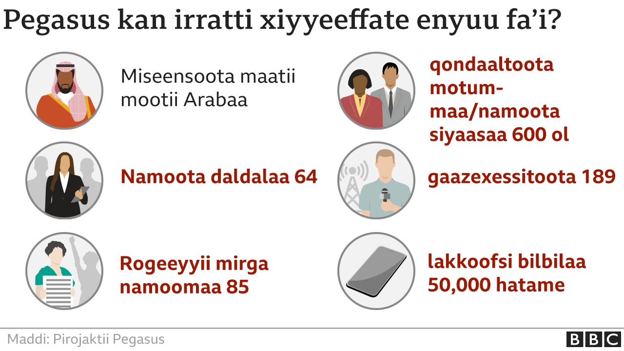 Jerking off bir Dik u bilan eshak