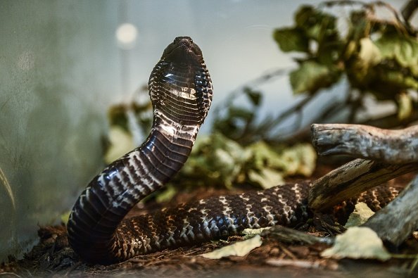 Volgograd, Kamishin, Voljskiy posyolkasidagi halol fohishalar, porno fotosuratlar, porno videolar