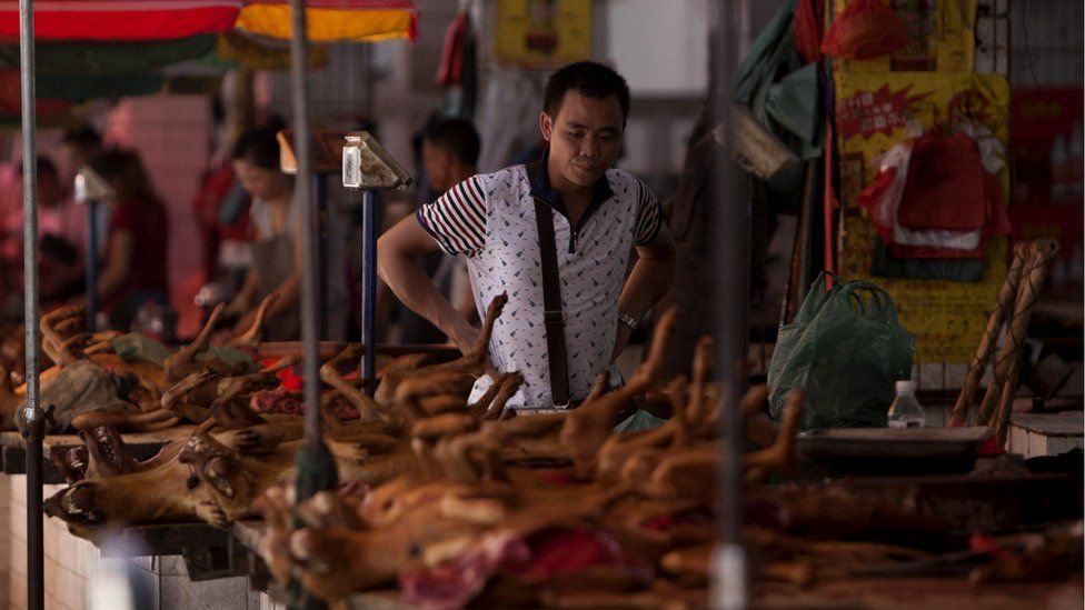 مهرجان لحوم الكلاب ينطلق في الصين رغم شائعات حظره