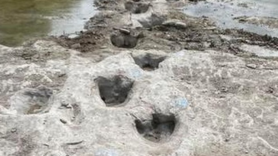 Severe drought exposes dinosaur tracks in Texas