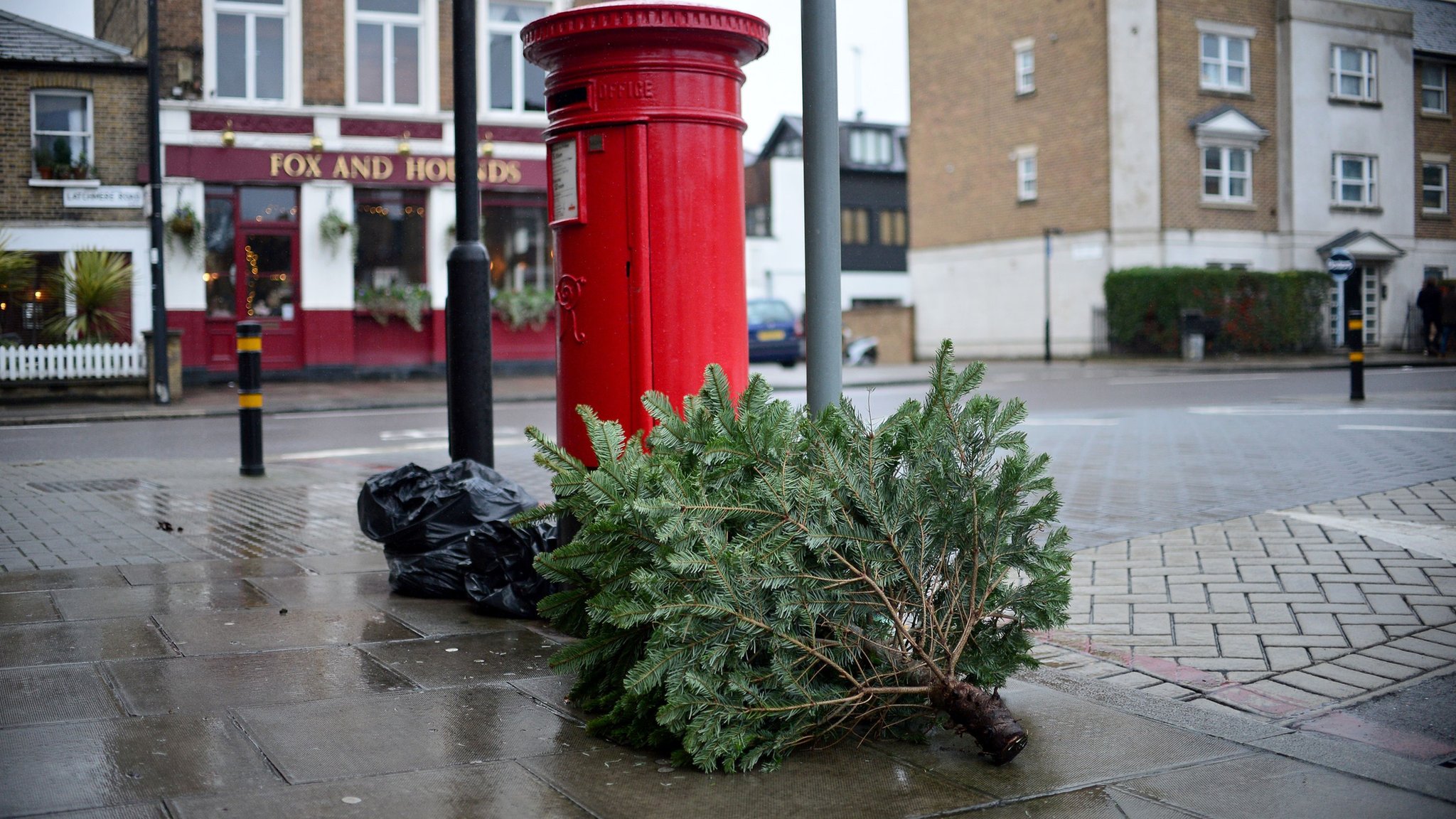 Christmas tree recycling What is best for the environment? CBBC