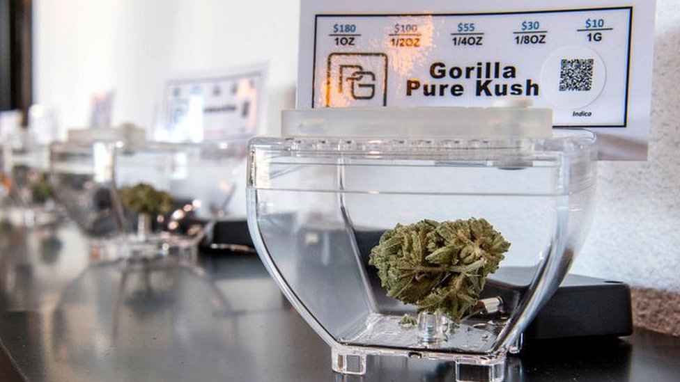 Porno yubka ostida külot holda qizlar