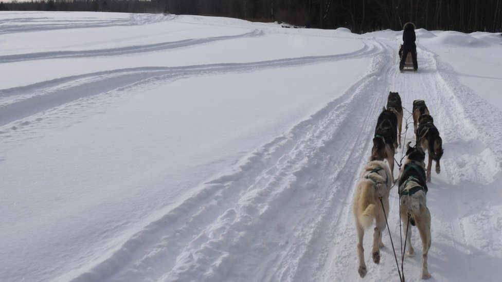 Nieve en Canadá