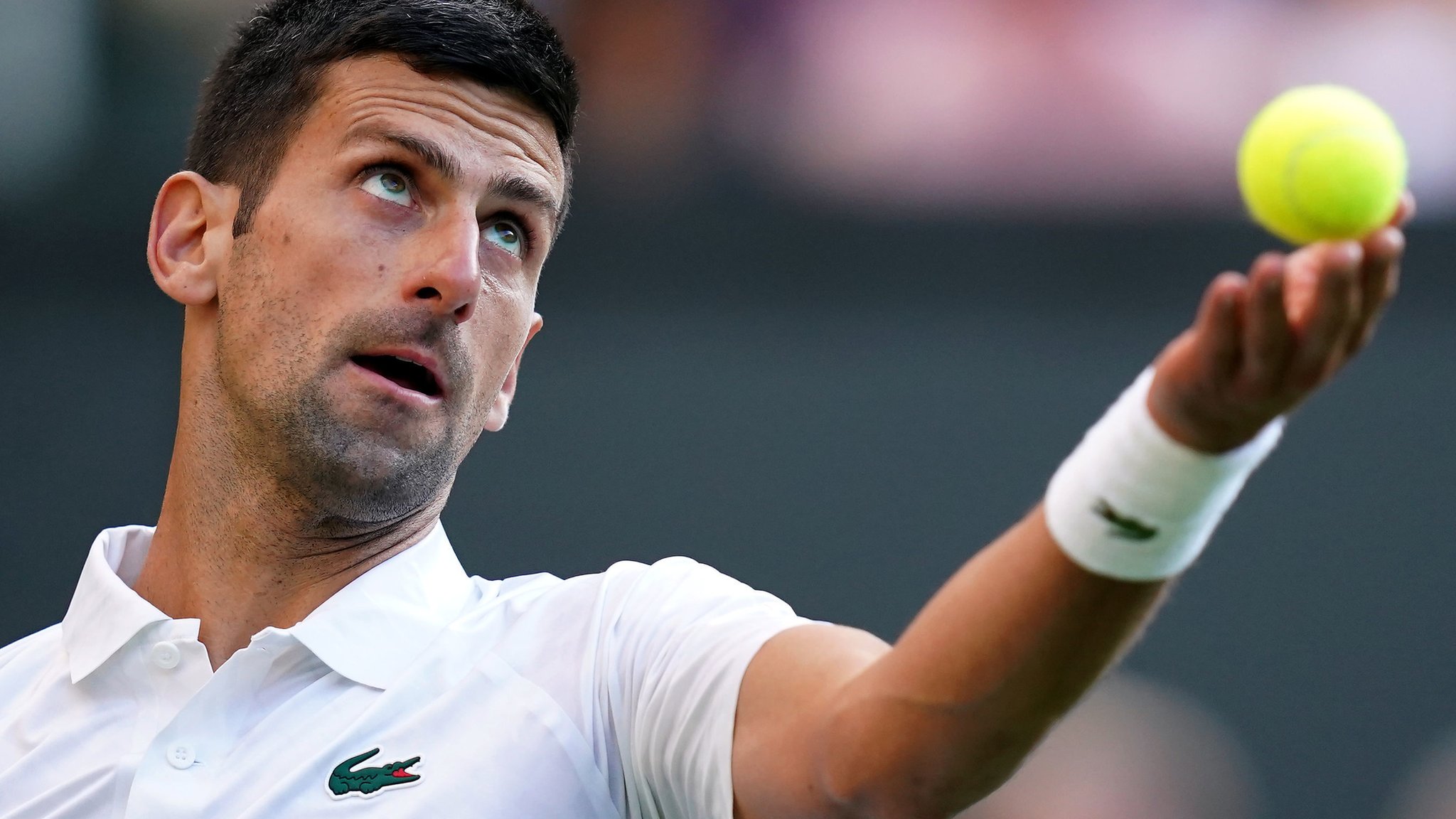 Wimbledon 2023 LIVE Djokovic, Swiatek, Tsitsipas, Boulter all win - relive day three as it happened - Live
