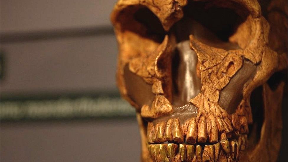 Humanos da Idade da Pedra tinham conhecimento médico avançado, diz estudo